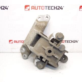 Motorový záves opustil Citroën Peugeot 181394
