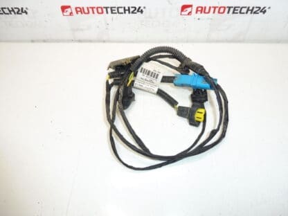 Citroen Peugeot 9653900780 6567LQ Bundle